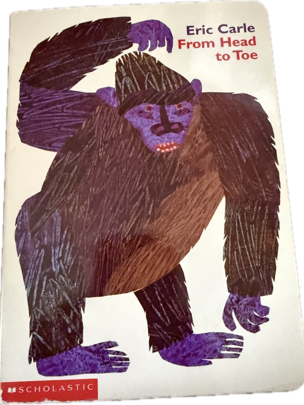 🔴 10/$10 🔴 “From Head to Toe” Board Book